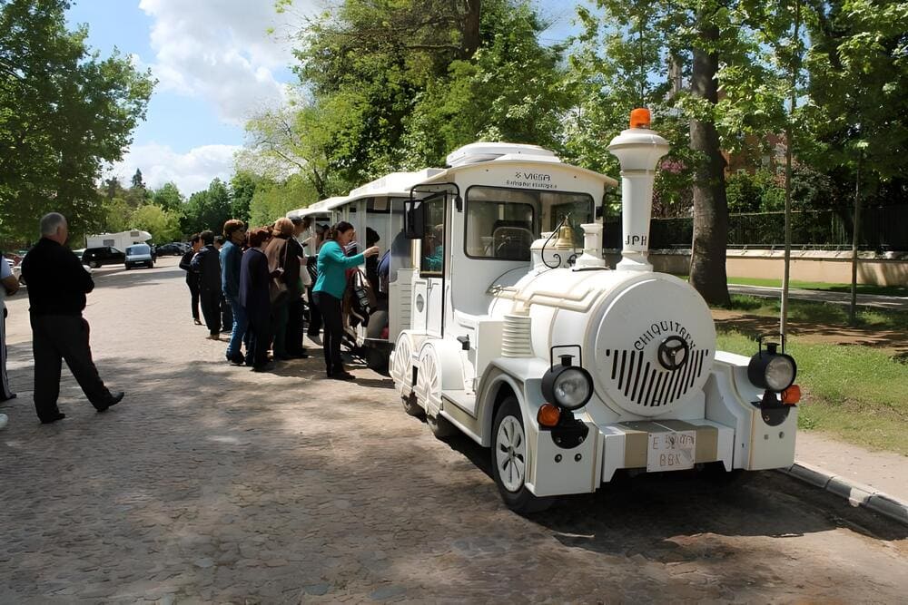 chiquitren aranjuez actividad grupos